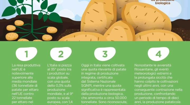 Sai cosa c’è nel piatto insieme alle patate?  Sostenibilità, protezione del suolo, dell’acqua e lotta allo spreco alimentare