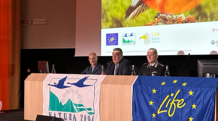 “LIFE EGYPTIAN VULTURE”: E-DISTRIBUZIONE IN CAMPO PER LA PROTEZIONE DEL CAPOVACCAIO