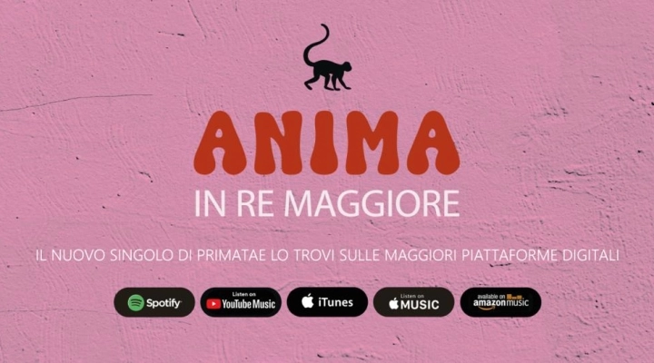 Anima in re maggiore il nuovo video di Primatae