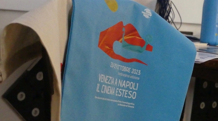 Venezia a Napoli, 23-29 ott XIII edizione, 46 proiezioni, 10 sale, film in lingua originale, anteprime assolute in Campania da Venezia 80