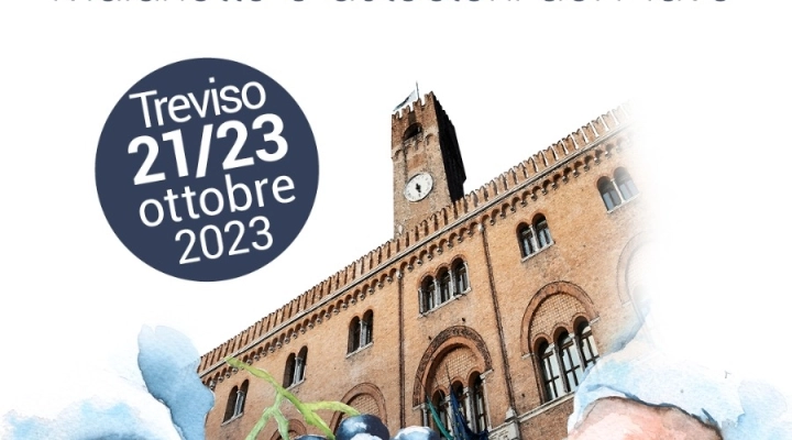 ALLA CORTE DEL RABOSO: A TREVISO TRE GIORNI CON AIS VENETO PER SCOPRIRE I VINI DEL PIAVE