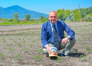 Ai nastri di partenza la VI edizione “Il Mio San Marzano” di Solania