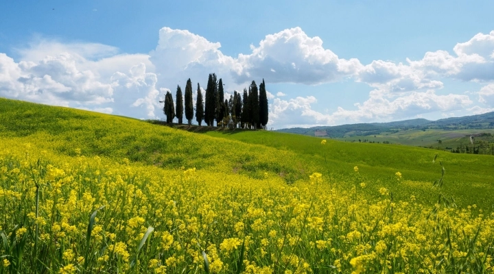 Perchè scegliere la Versilia per le proprie vacanze?