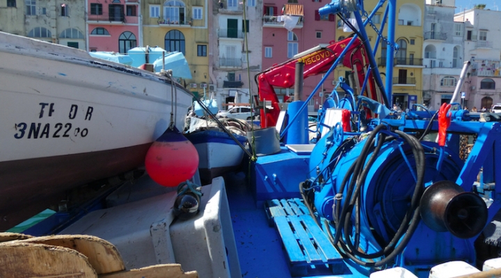 A Procida la due giorni del progetto europeo FEAMP sulla pesca - 1 e 2 dicembre