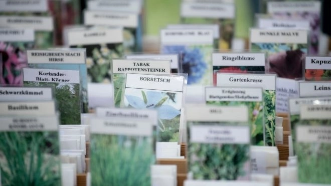 Banche del Seme: Tesori Nascosti per la Biodiversità e la Sicurezza Alimentare del Futuro