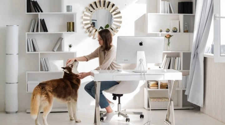 Eleganza e Produttività: Guida Completa per il Design del Tuo Home Office