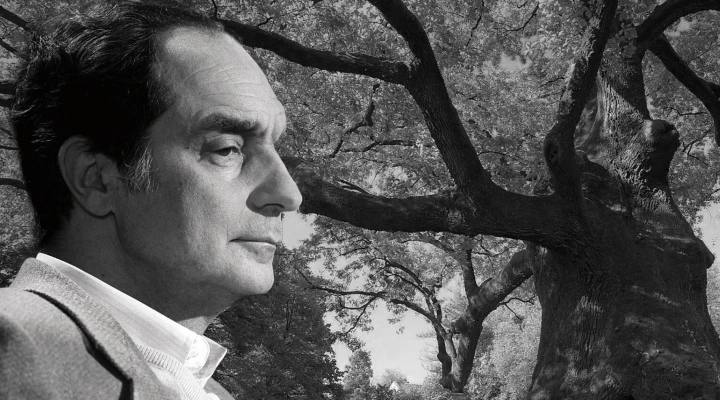 Quartieri di Vita 2023: omaggio a Italo Calvino