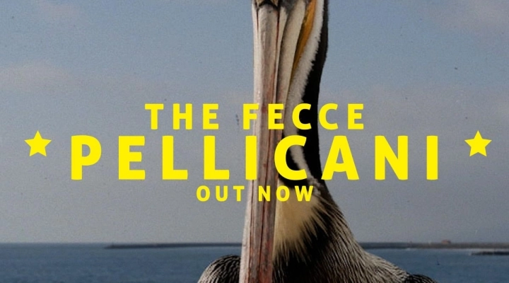 The Fecce - Il nuovo singolo “Pellicani”