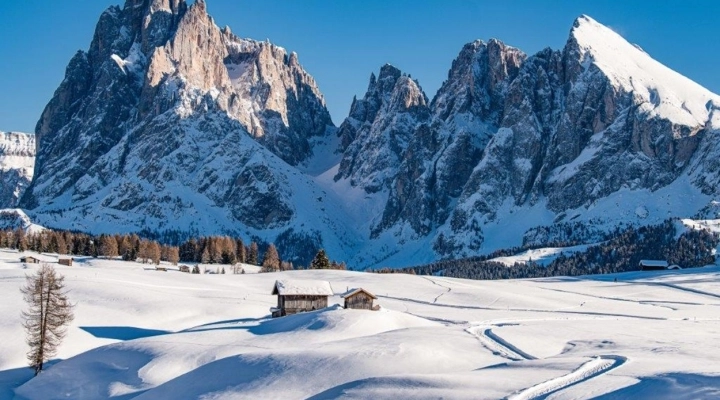 COGLI AL VOLO LE ULTIME OFFERTE PER IL TUO “BREAK” SULLA NEVE DELL’ALPE D SIUSI..AL TIRLER DOLOMITES LIVING HOTEL