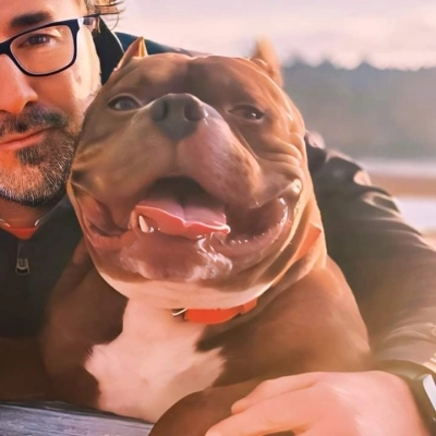 Un cuore rinato Ice Rubacuori L'american Bully adottato con Amore dopo tante sofferenze