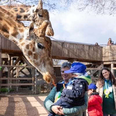 “VORREI VEDERE GLI ANIMALI DA VICINO” MAKE-A-WISH® ITALIA REALIZZA IL DESIDERIO DI ALBERTO