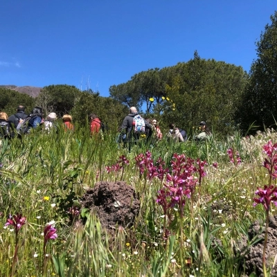 Pasquetta 2024 eco-escursione sul Vesuvio adatta a tutti