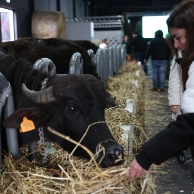 Fiera Agricola, che successo. Caturano: transizione ecologica e tutela made in Italy devono coesistere