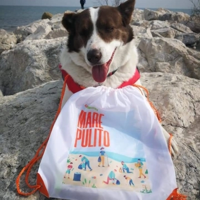 I volontari ripuliscono la spiaggia di Tagliata dalla plastica