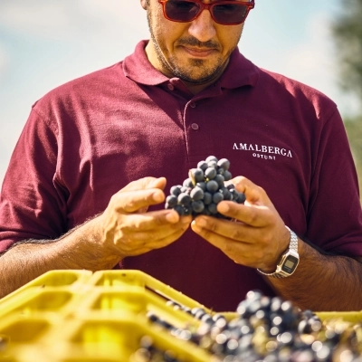 Vino, amicizia e ospitalità: Amalberga riscopre la Doc Ostuni