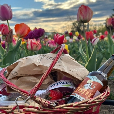 Picnic nei campi di Agricola delle Meraviglie di Steflor