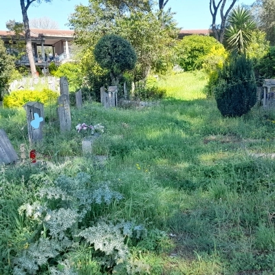 A Roma la dignità per i defunti viene sepolta con loro, Italia dei Diritti a muso duro contro l'amministrazione capitolina