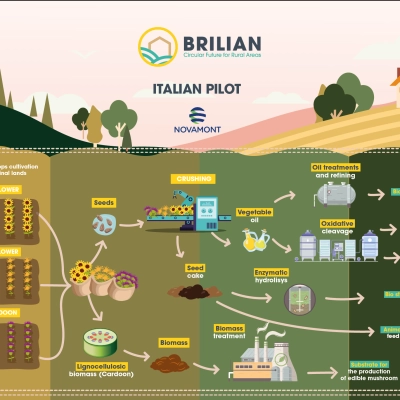 BRILIAN: LANCIO DEL PROGETTO PILOTA ITALIANO – GUIDATO DA NOVAMONT – PER LO SVILUPPO DELLE AREE RURALI EUROPEE