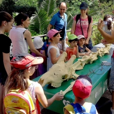 Domenica 23 giugno al Bioparco sua altezza giraffa