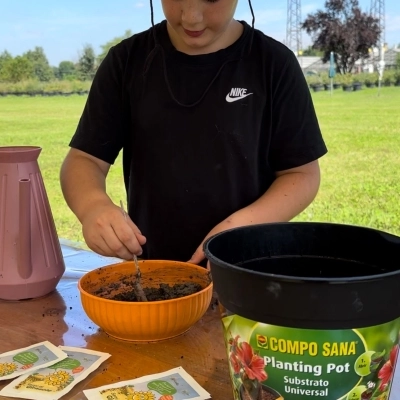 Palline di semi di girasole, il nuovo laboratorio per bambini di Steflor