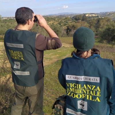 Sicilia, il TAR da’ ragione al WWF: Bonfanti ha agito correttamente, va annullata la revoca del decreto di guardia volontaria 