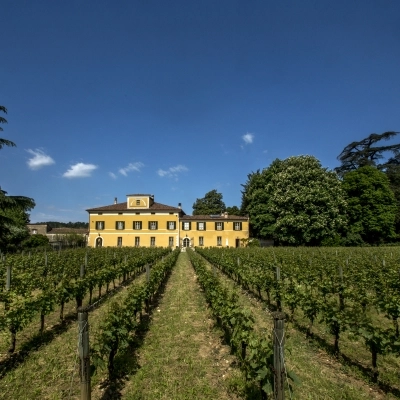 FESTIVAL FRANCIACORTA IN CANTINA: TRE GIORNI PER SCOPRIRE LO STILE MOSNEL