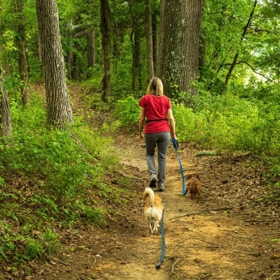 Animali domestici e vacanze: con Family+Happy la loro gestione non è più fonte di stress 