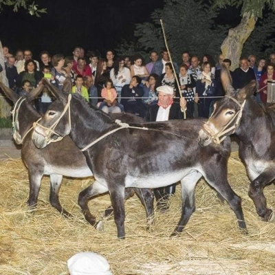 Degustazione per le vie di San Mauro Castelverde, domenica l’appuntamento con “Pani, Dolci e tanto altro…”  