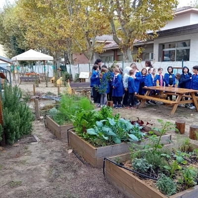 220 piccoli alunni a scuola nel verde: apre a Viareggio l’Aula Natura di WWF e P&G Italia