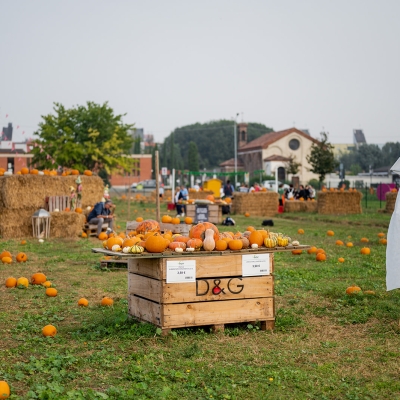 Festa di Halloween nel campo di zucche di Agricola delle Meraviglie