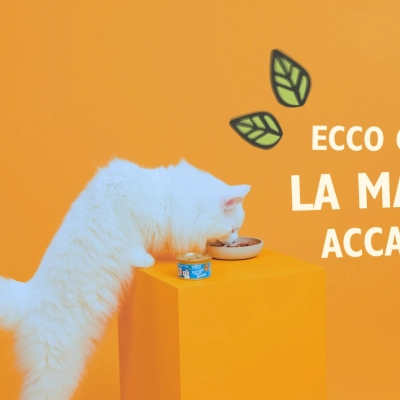 È ON AIR LA VIDEO CAMPAIGN DI LILY’S KITCHEN:  SUGLI SCHERMI ITALIANI IL PETFOOD DELIZIOSO E NATURALE 