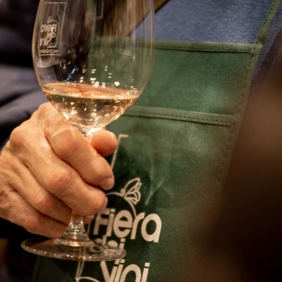 FIERA DEI VINI 2024: DAL 16 AL 18 NOVEMBRE PIACENZA EXPO PRONTA AD ACCOGLIERE OLTRE 200 ESPOSITORI