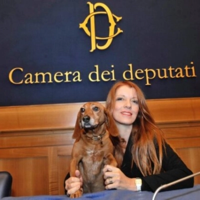 CAMERA APPROVA PENE PIU’ SEVERE PER REATI CONTRO GLI ANIMALI, ON. BRAMBILLA: “UNA RIVOLUZIONE”