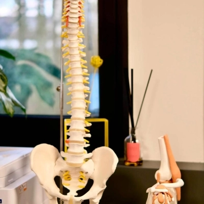 Osteopatia a Treviso: Benessere e Salute al Centro della Vita