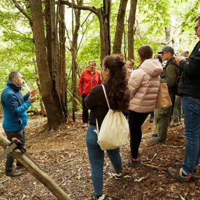 L’unione fa la forza: l’associazionismo come opportunità per la gestione attiva delle foreste