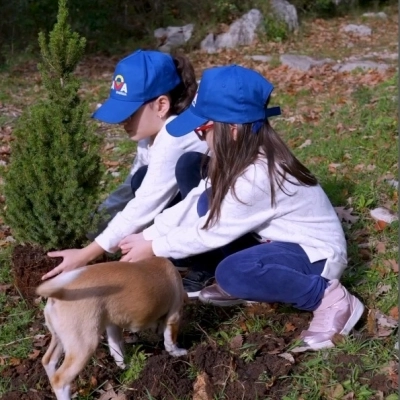 UN ALBERO PER LE RADICI DEL FUTURO