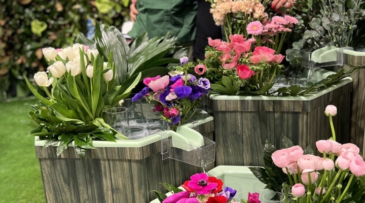 Mara Verbena e il sistema Fior d’Acqua, conservare fiori recisi è sostenibile, facile, bello