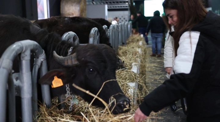 Fiera Agricola, che successo. Caturano: transizione ecologica e tutela made in Italy devono coesistere