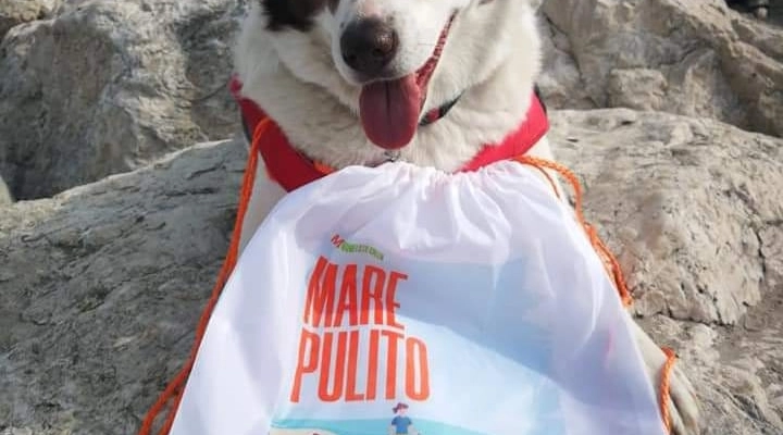 I volontari ripuliscono la spiaggia di Tagliata dalla plastica