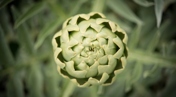 XII edizione di Bianco Tanagro