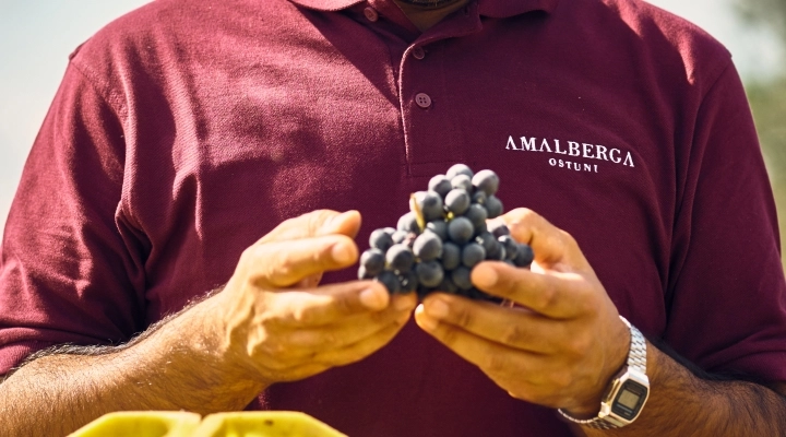 Vino, amicizia e ospitalità: Amalberga riscopre la Doc Ostuni