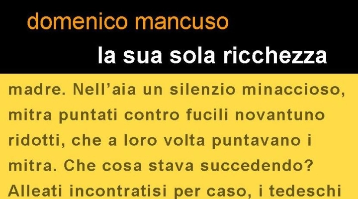 “La sua sola ricchezza” di Domenico Mancuso 