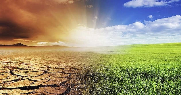 Investimenti nel climate change, i privati ci credono più della grande finanza