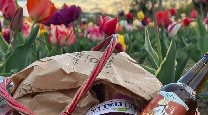 Picnic nei campi di Agricola delle Meraviglie di Steflor