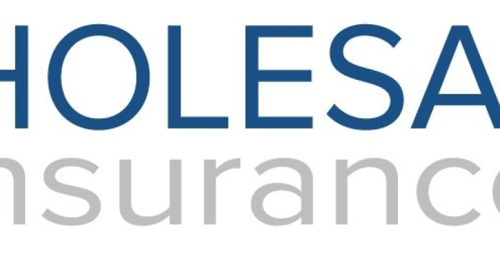 Wholesale Insurance S.r.l. - Nuovo sito online !