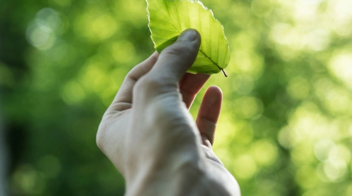 Un risparmio per l’ambiente di 736 milioni di euro e oltre 520.000 tonnellate di CO2: l’impatto di Wallapop e della sua community nel 2023