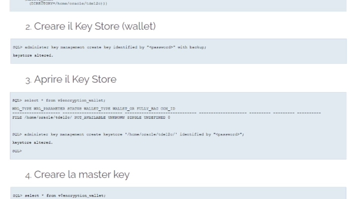 Oracle Transparent Data Encryption (TDE) 