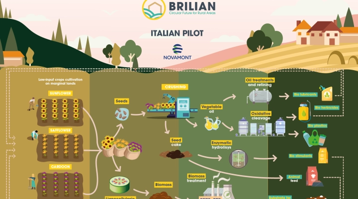 BRILIAN: LANCIO DEL PROGETTO PILOTA ITALIANO – GUIDATO DA NOVAMONT – PER LO SVILUPPO DELLE AREE RURALI EUROPEE