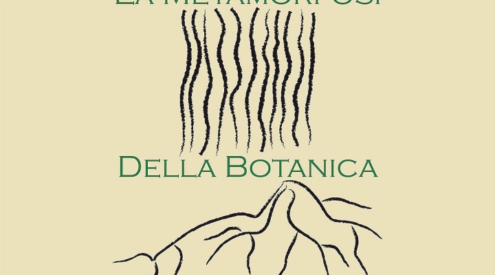 La metamorfosi della botanica illustrata