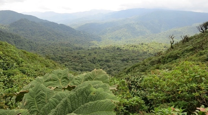 Una buona idea: trasferirsi in Costa Rica e vivere felici